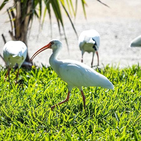 Newly Renovated 3Br2Ba Duplex With Private Dock Villa Key Colony Beach Exterior foto