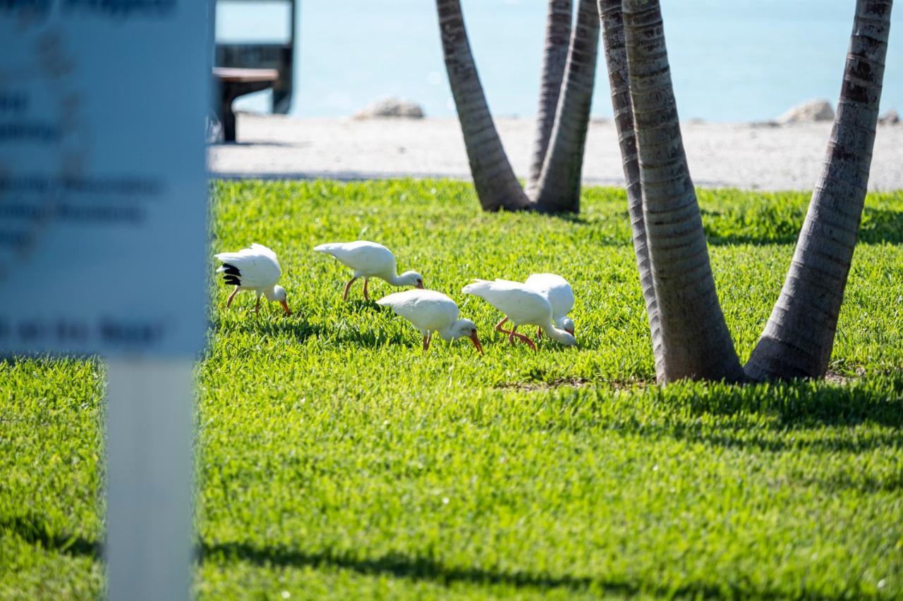 Newly Renovated 3Br2Ba Duplex With Private Dock Villa Key Colony Beach Exterior foto
